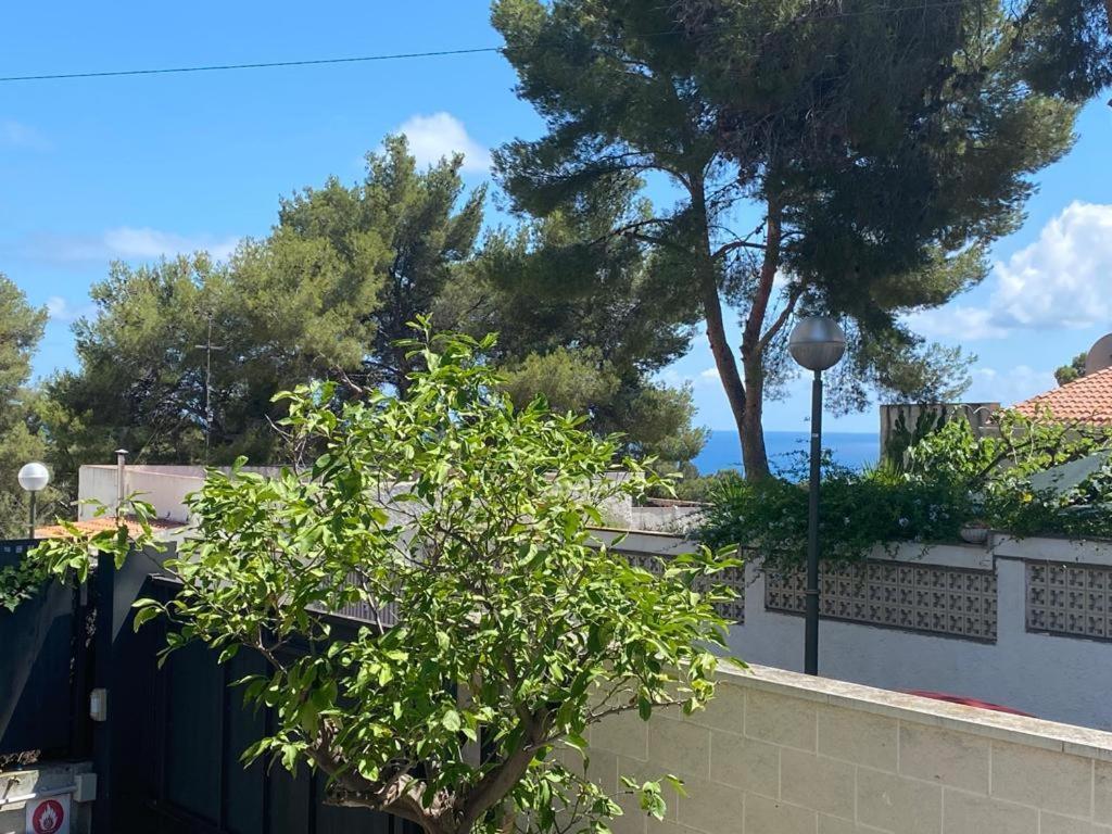 Villa Casa En La Mora Cerca De Playas Tarragona